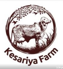 Kesariya Farm