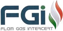 Fgi Flam Gas Intercert