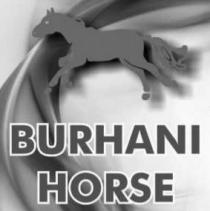 BURHANI HORSE