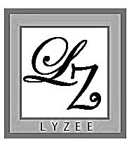 LYZEE with LZ