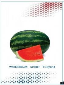 WATERMELON SUPRIT F1 HYBRID