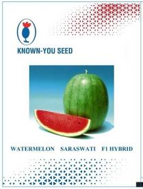 KNOWN YOU SEED WATERMELON SARASWATI F1 HYBRID