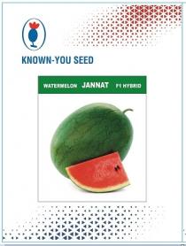 KNOWN YOU SEED WATERMELON JANNAT F1 HYBRID