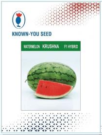 KNOWN YOU SEED WATERMELON KRUSHNA F1 HYBRID