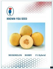 KNOWN YOU SEED MUSKMELON BOBBY F1 HYBRID