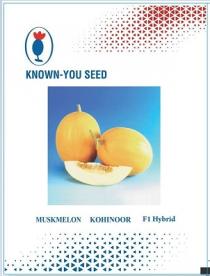 KNOWN YOU SEED MUSKMELON KOHINOOR F1 HYBRID