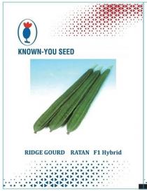 KNOWN YOU SEED RIDGE GOURD RATAN F1 HYBRID