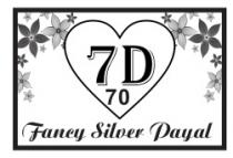 7D-70 FANCY SILVER PAYAL