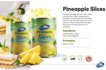 DR. SMITH PINEAPPLE SLICES