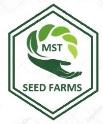 MST SEED FARMS