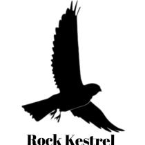 Rock Kestrel