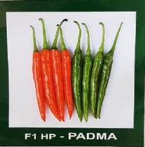 F1 HP - PADMA