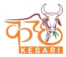 KUTCH KESARI