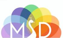  MSD