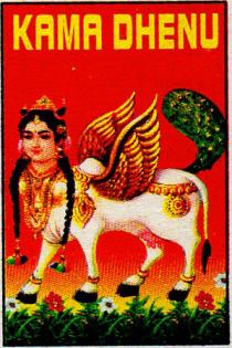 KAMADHENU