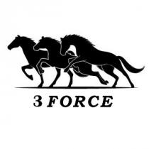 3FORCE