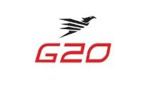G20