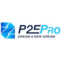 P2E PRO