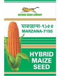 HYBRID MAIZE - MARZANA 7155