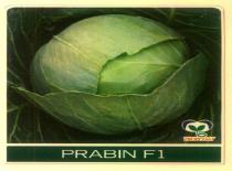 PRABIN F1