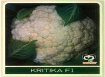 KRITIKA F1