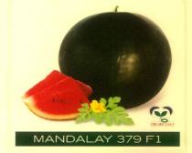 MANDALAY 379 F1