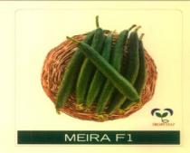 MEIRA F1