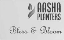 Aasha Planters - Bless & Bloom