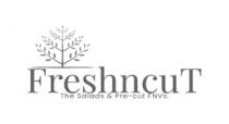 Freshncut - The Salads and Pre-cut FNVs