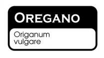 OREGANO Origanum Vulgare