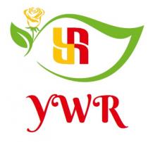 YWR