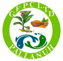 GFPC LTD PALLANUH