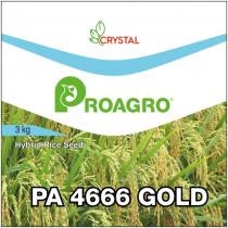 PA 4666 GOLD
