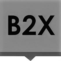 B2X