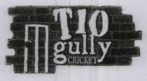 T10 gully CRICKET