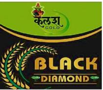 SS KALASH GOLD BLACK DIAMOND