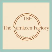 TNF THE NAMKEEN FACTORY