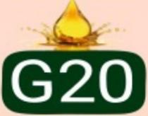 G20