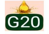 G20