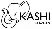 KASHI BY KALEEN