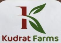 Kudrat Farms of K