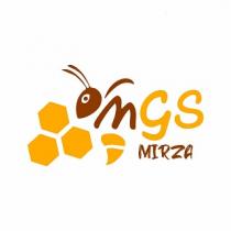 MGS MIRZA