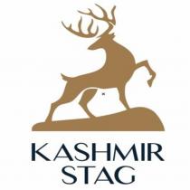 KASHMIR STAG