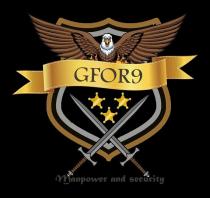 GFOR9 MANPOWER AND SECURITY