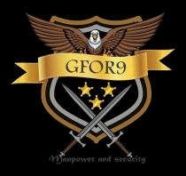 GFOR9 MANPOWER AND SECURITY