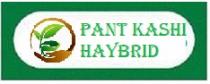 PANT KASHI HAYBRID