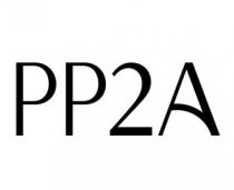 PP2A