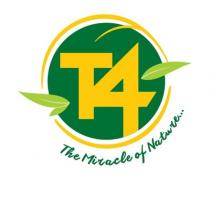 T4