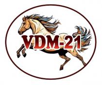 VDM-21
