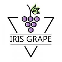 IRIS GRAPE